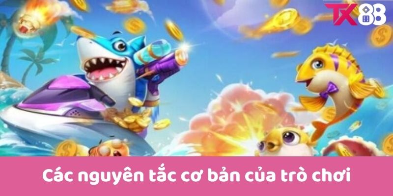 Các nguyên tắc cơ bản của trò chơi