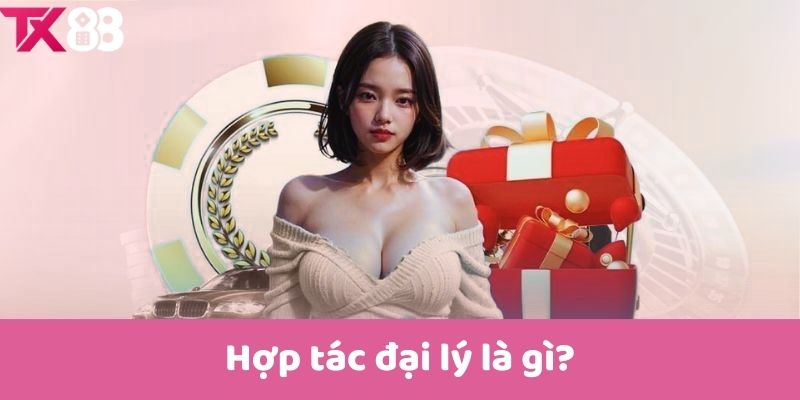 Hợp tác đại lý là gì?