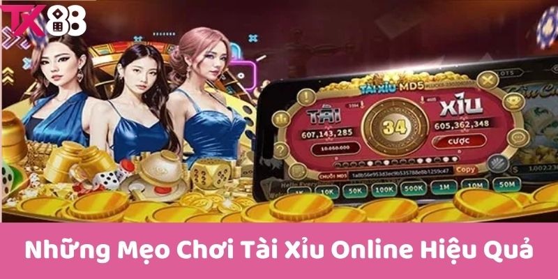 Những Mẹo Chơi Tài Xỉu Online Hiệu Quả