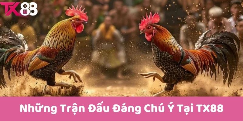 Những Trận Đấu Đáng Chú Ý Tại TX88