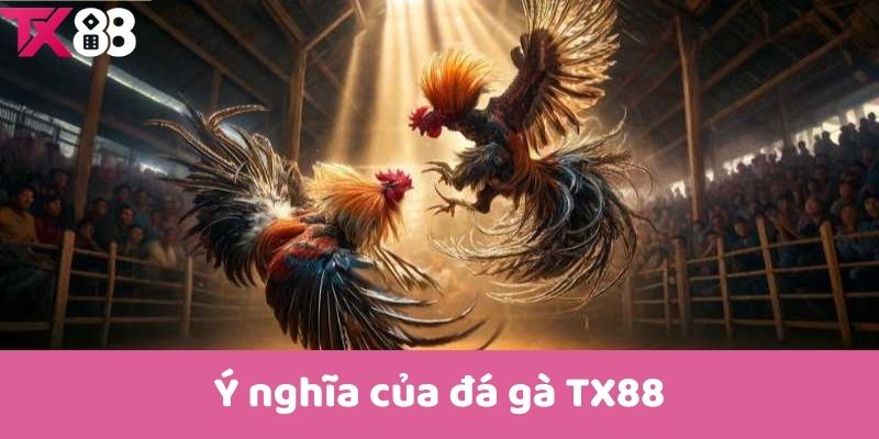 Ý nghĩa của đá gà TX88