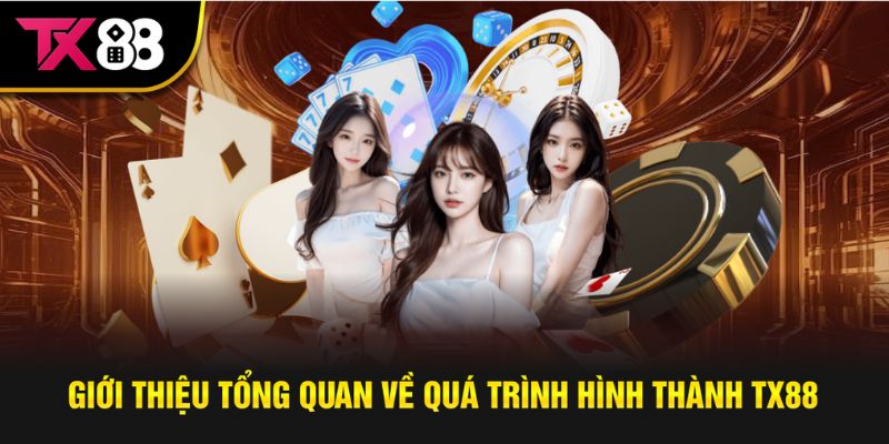Giới thiệu quá trình hình thành phát triển TX88